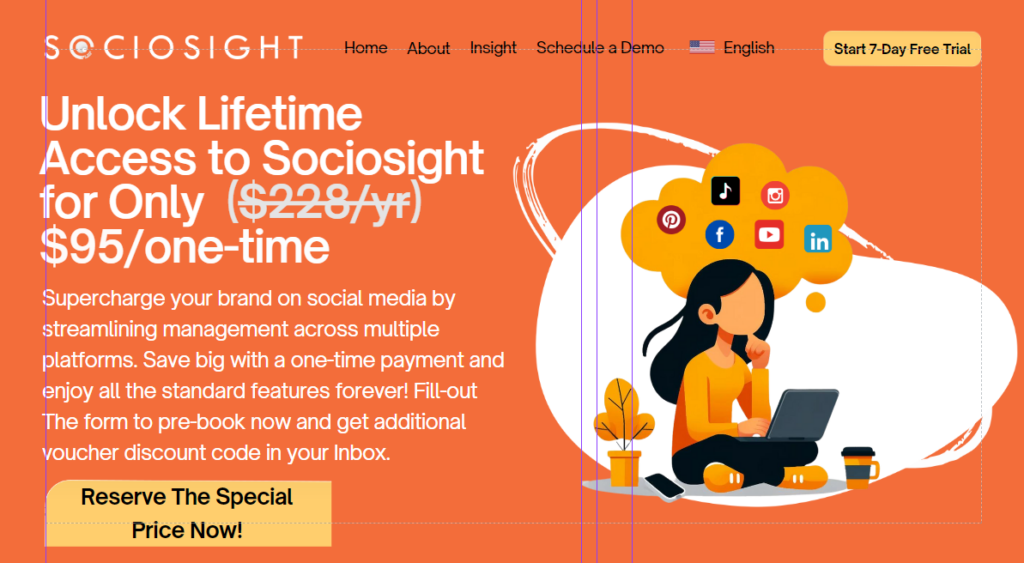 Social Media Management System - Sociosight.Co - Standard Lifetime Subscription