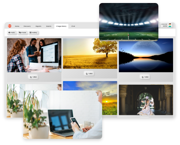 Social Media Management